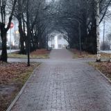 Гостиница Родина, фото гостя