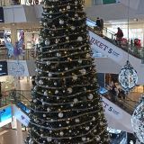 Ленинградская область, фото отдыхающего в декабре