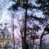 Парк-Отель Икорец, фото гостя