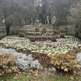 Гостиница Ессентуки, фото гостя