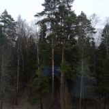 Отель Ибис Москва Аэропорт Домодедово, фото гостя