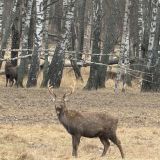 Отель-заповедник Лесное, фото гостя