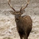 Отель-заповедник Лесное, фото гостя