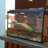 Гостиница Ордынка, фото гостя