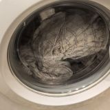 Апартаменты С видом на Москву, фото гостя