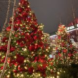 Москва, фото отдыхающего в декабре