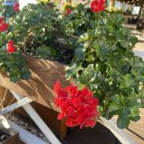 Юг России, фото отдыхающего в декабре