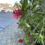 Юг России, фото отдыхающего в декабре