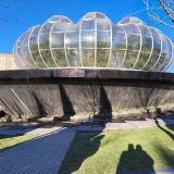 Юг России, фото отдыхающего в декабре