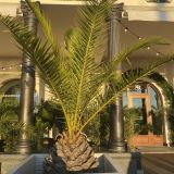 Юг России, фото отдыхающего в декабре