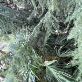 Хостел На Навагинской, фото гостя