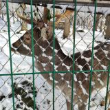 Парк-Отель Орлиное гнездо, фото гостя