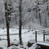 Парк-Отель Орлиное гнездо, фото гостя