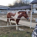 Парк-Отель Орлиное гнездо, фото гостя