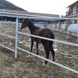 Парк-Отель Орлиное гнездо, фото гостя