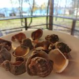 База отдыха На Высоте, фото гостя