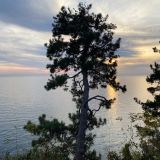 Парк-Отель Небуг, фото гостя