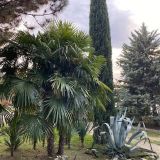 Парк-Отель Небуг, фото гостя