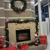 Отель Матисов Домик у Новой Голландии, фото гостя