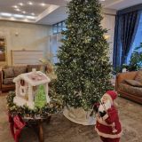 Конгресс-отель Don-Plaza, фото гостя