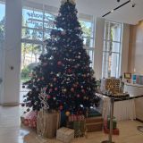 Горный Крым, фото отдыхающего в декабре