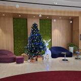 Горный Крым, фото отдыхающего в декабре