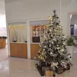 Горный Крым, фото отдыхающего в декабре