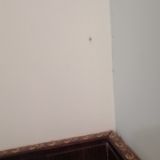 Гостиница БуддОтель Москва, фото гостя