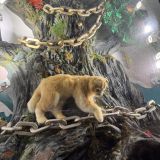 Средняя полоса России, фото отдыхающего в декабре