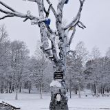 Петрозаводск, фото отдыхающего в декабре