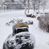 Петрозаводск, фото отдыхающего в декабре