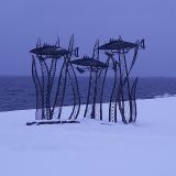 Петрозаводск, фото отдыхающего в декабре