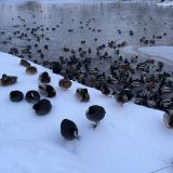 Ленинградская область, фото отдыхающего в декабре