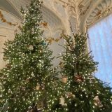 Санкт-Петербург, фото отдыхающего в декабре