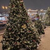 Санкт-Петербург, фото отдыхающего в декабре