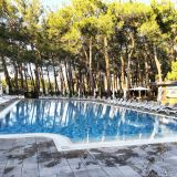 Пансионат Кавказ, фото гостя