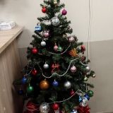 Хостел Матрешка, фото гостя