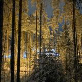 Санаторий Архитектура здоровья, фото гостя