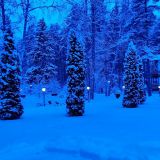 Санаторий Архитектура здоровья, фото гостя