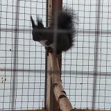 Арзамас, фото отдыхающего в январе