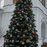 Арзамас, фото отдыхающего в январе