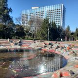 Адлер, фото отдыхающего в декабре