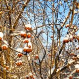 Вологодская область, фото отдыхающего в декабре