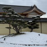 Кубань, фото отдыхающего в январе