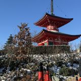 Кубань, фото отдыхающего в январе