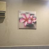 Обои грязные,это ужасно.