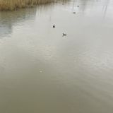 Анапа, фото отдыхающего в январе