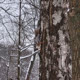 Гостевой дом Европейский, фото гостя