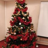 Санаторий Бобачевская роща, фото гостя