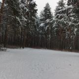 Санаторий Бобачевская роща, фото гостя